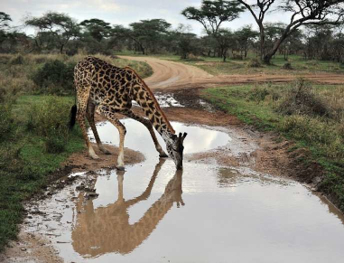 Lorem ipsum dolor sit amet, consectetur adipiscing elit, sed do eiusmod tempor incididunt ut labore et dolore magna aliqua. Ut enim ad minim veniam, quis nostrud exercitation ullamco laboris nisi ut aliquip ex ea commodo consequat