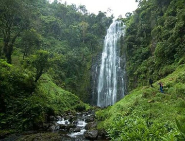 Lorem Ipsum is simply dummy text of the printing and typesetting ndustry. 