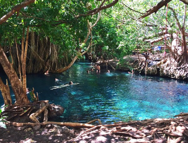 Lorem Ipsum is simply dummy text of the printing and typesetting ndustry. 