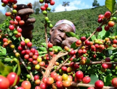 Lorem Ipsum is simply dummy text of the printing and typesetting ndustry. 